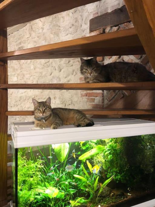 Maison Au Milieu Des Bois Et Des Animaux Jouy-le-Potier Екстериор снимка