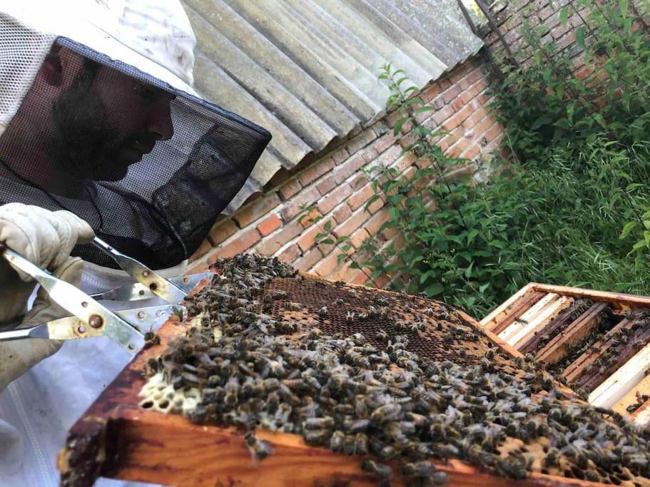 Maison Au Milieu Des Bois Et Des Animaux Jouy-le-Potier Екстериор снимка